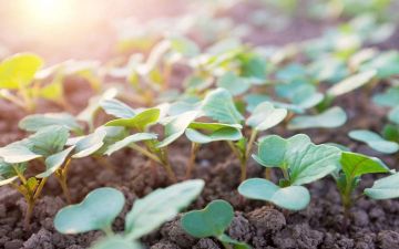 أُمّة الخير والأخلاق الفاضلة